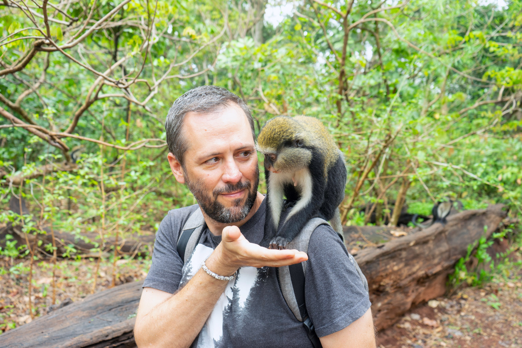 Boabeng-Fiema Monkey Sanctuary