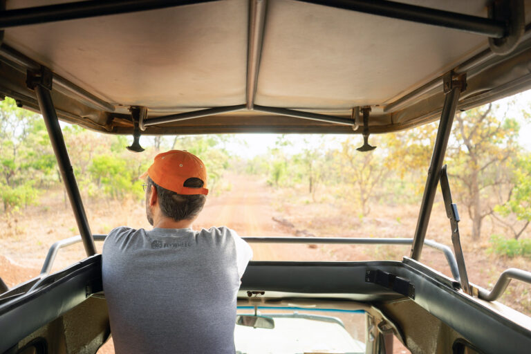 Read more about the article Mole Safari #2: In a Jeep