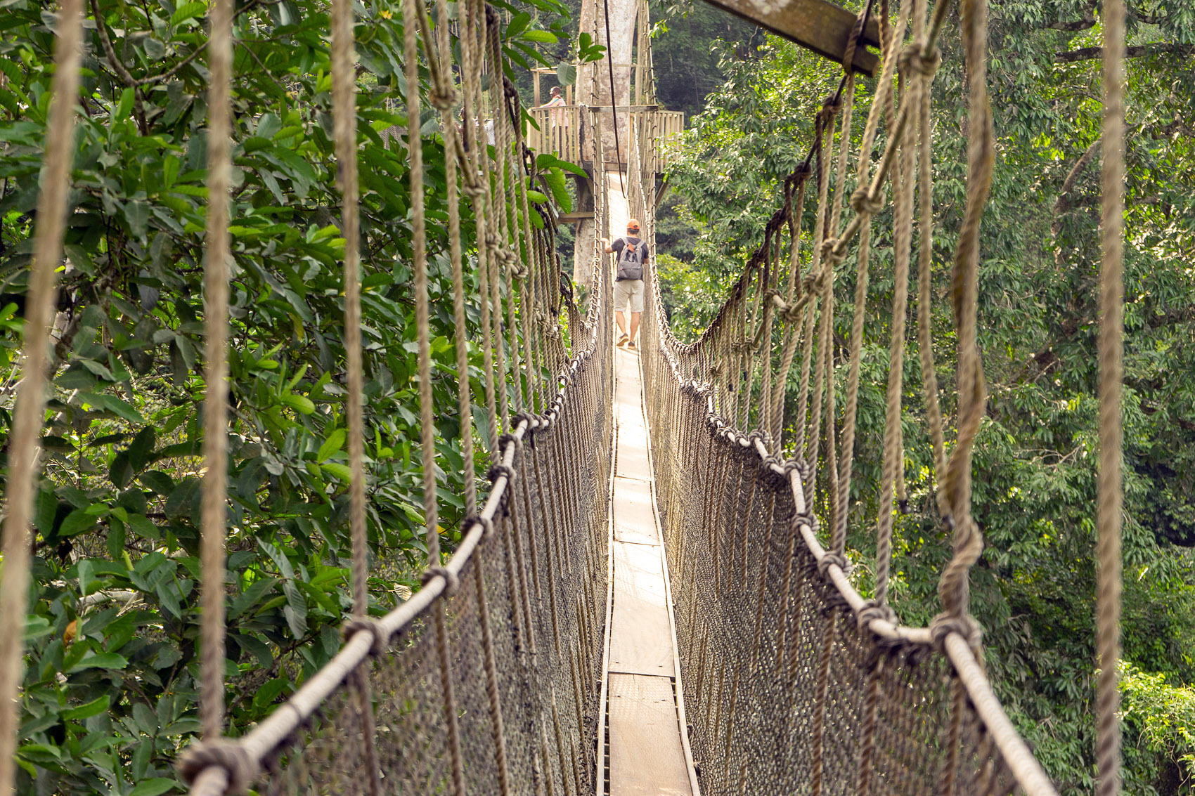 Kakum Park Photos