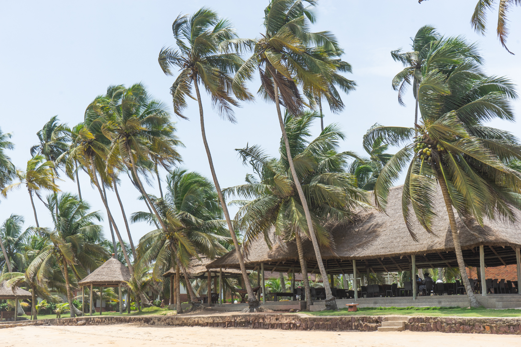 Resort Coconut Grove Elmina